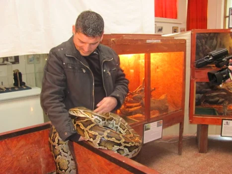 sarpe 2 slobozia