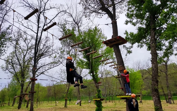 Parcul de Aventură se află în pădurea Gârboavele FOTO: CJ Galați