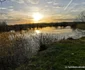 balta lebedelorhunedoara foto daniel guta adevarul