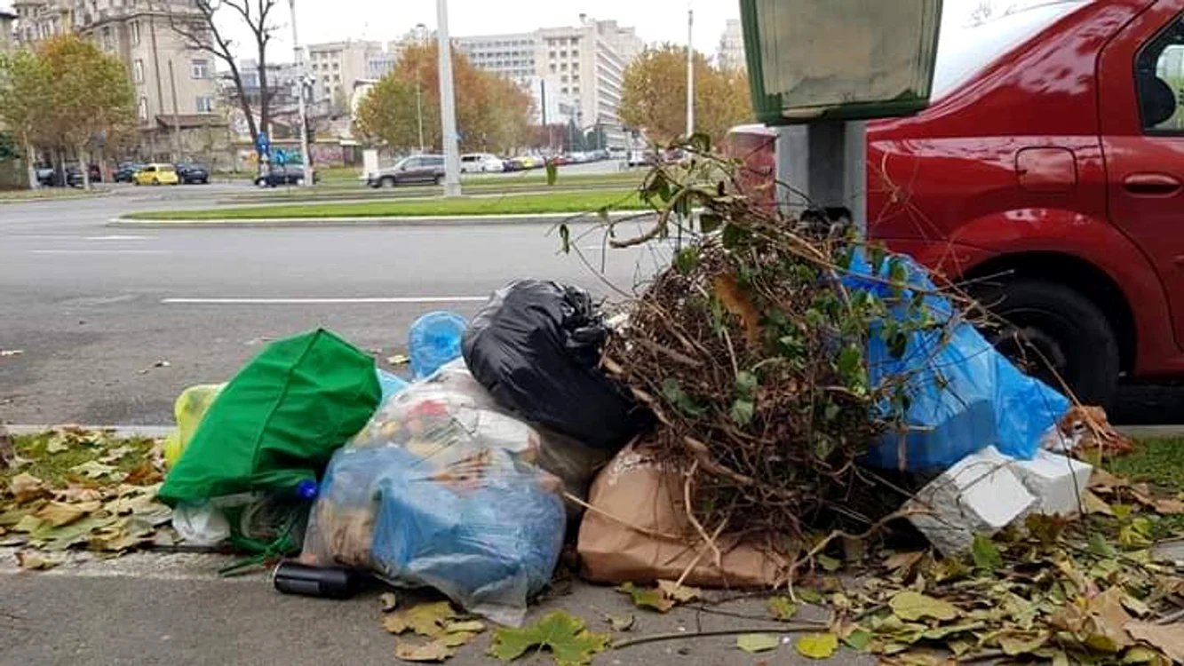 
    Gunoiul stradal nu mai este ridicat pe mai multe artere din zona centrală a sectorului 1  