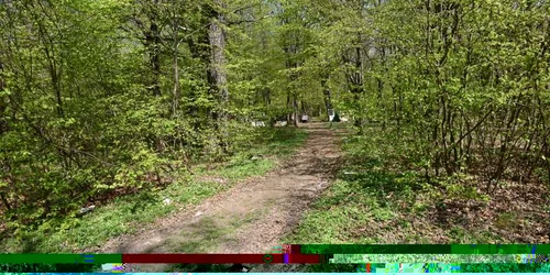 sibiu romi padure foto traian deleanu