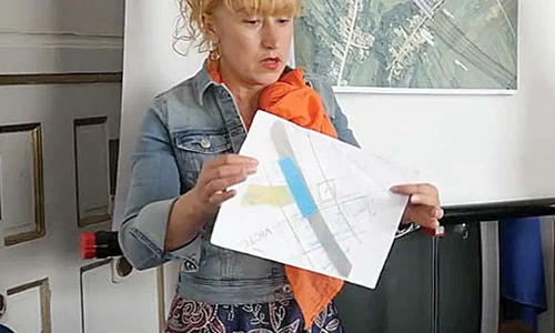 Floarea Lăncrănjan s a săturat de praf și de zgomot jpeg