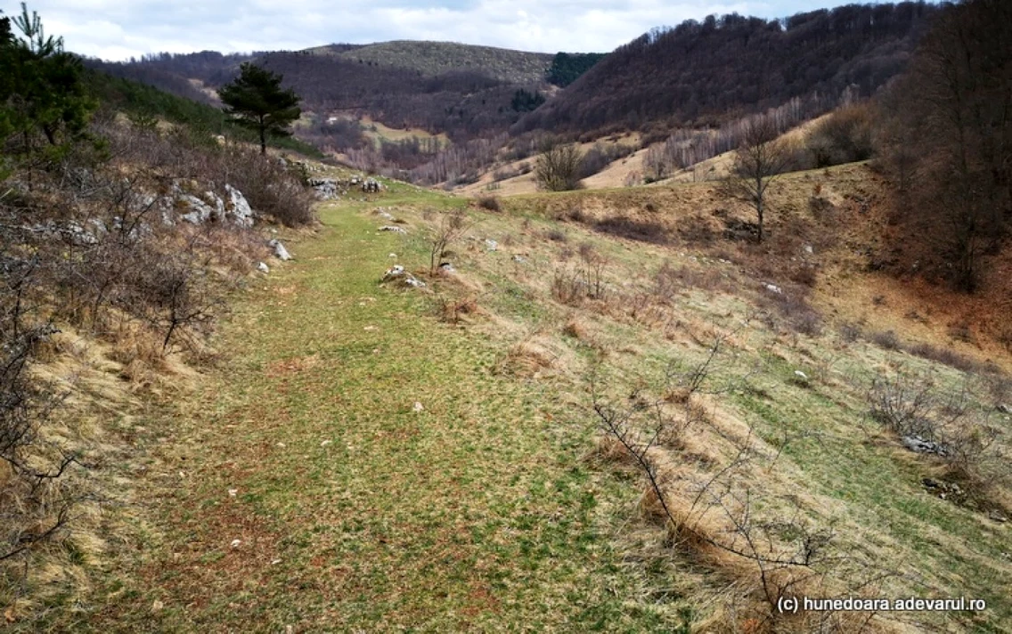 marele zid dacic cioclovina ponorici foto daniel guta adevarul