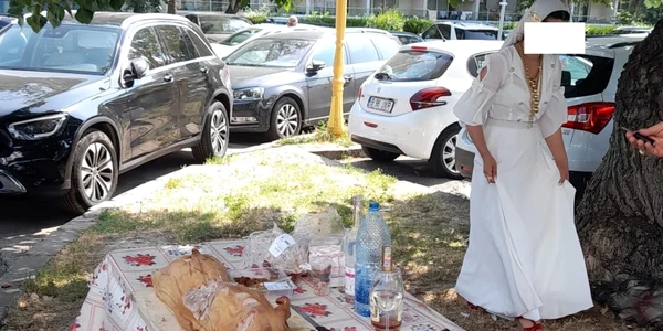 turisti in mamaia petrecere purcei la protap foto constanta de azi