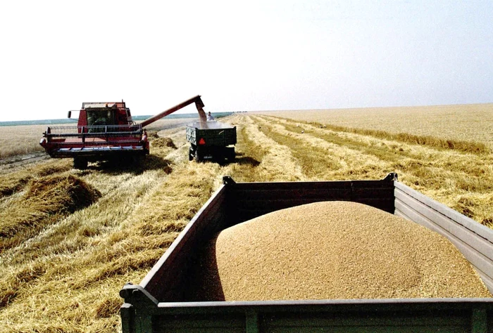 Agricultorii din Bărăgan speră la recolte bune în acest an FOTO Adevărul