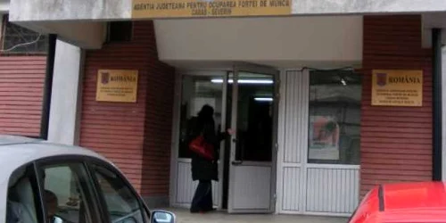 Şomerii nu au ce să aleagă