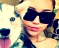 miley cirus. 