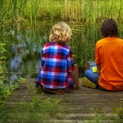 in natura, prieteni   foto pixabay   peterdargatz  jpg