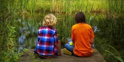 in natura, prieteni   foto pixabay   peterdargatz  jpg