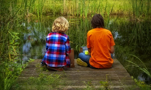 in natura, prieteni foto pixabay peterdargatz jpg