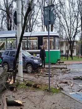 copac cazut Iasi 3, foto Facebook jpg
