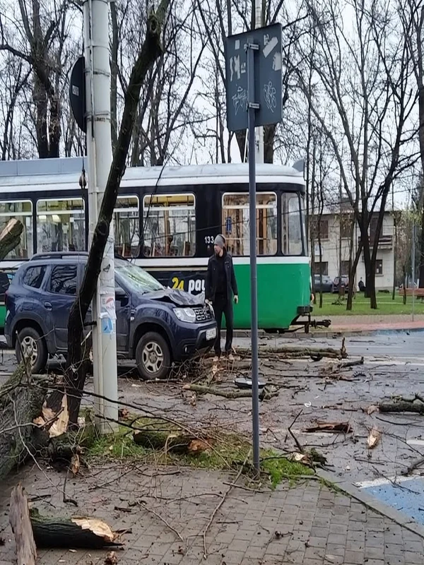 copac cazut Iasi 3, foto Facebook jpg