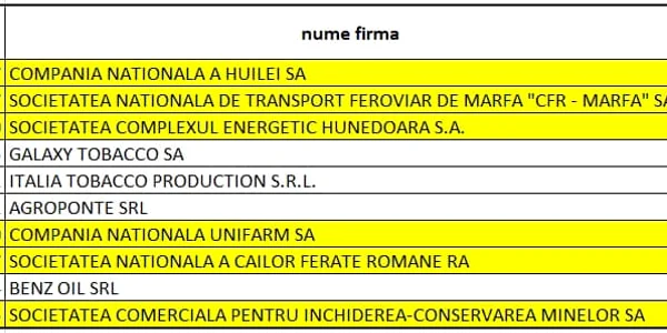 firma datoare la stat jpg