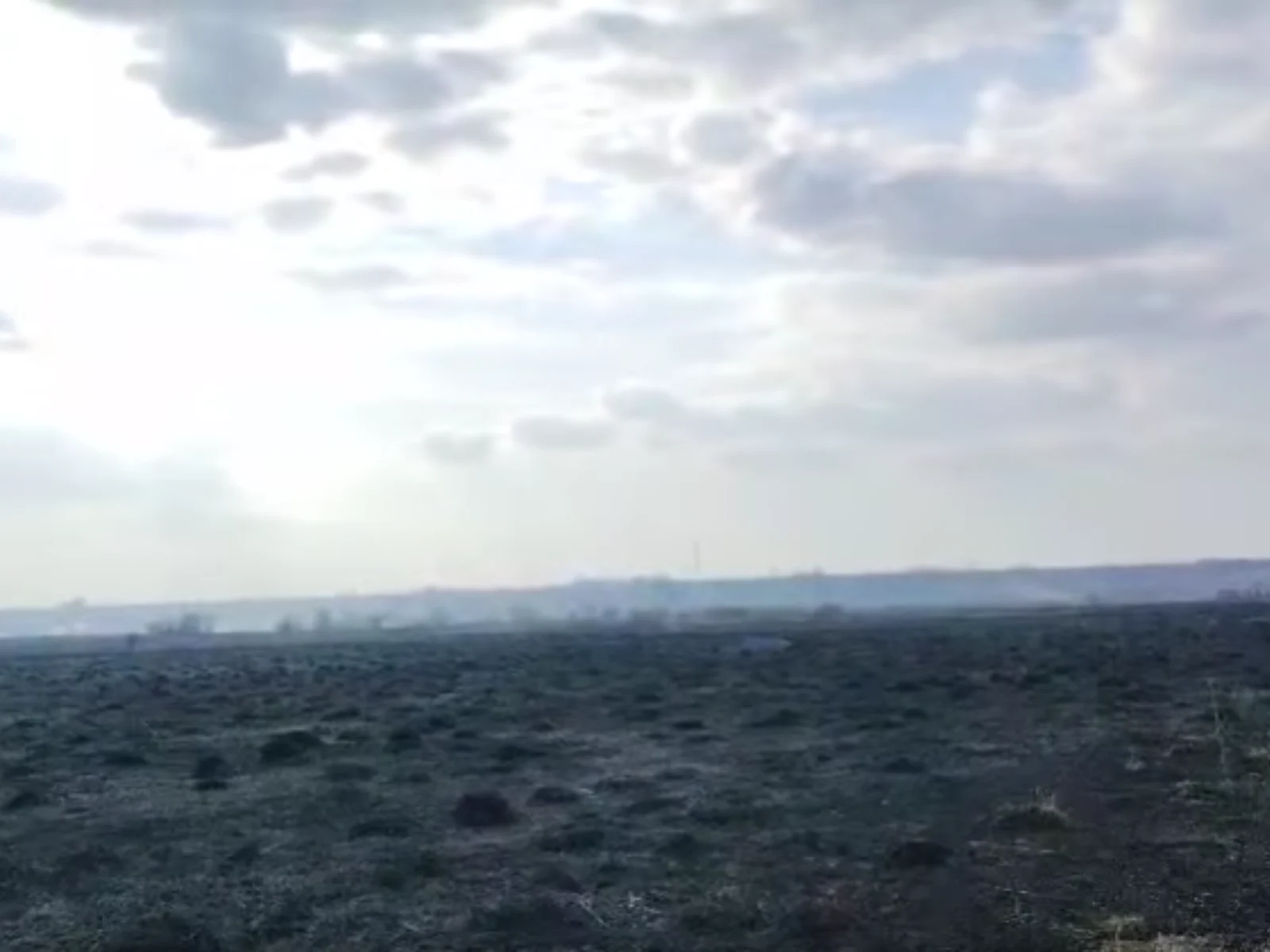 Peste 10 hectare de vegetație, mistuite de flăcări în județele Neamț și Iași, în ultimele 24 de ore