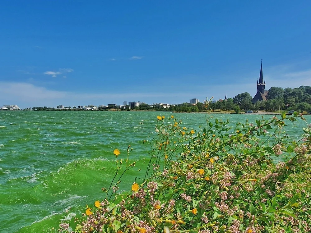 Lacul Tăbăcărie Constanţa