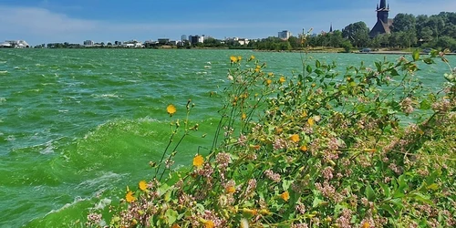 Lacul tabacarie constanta