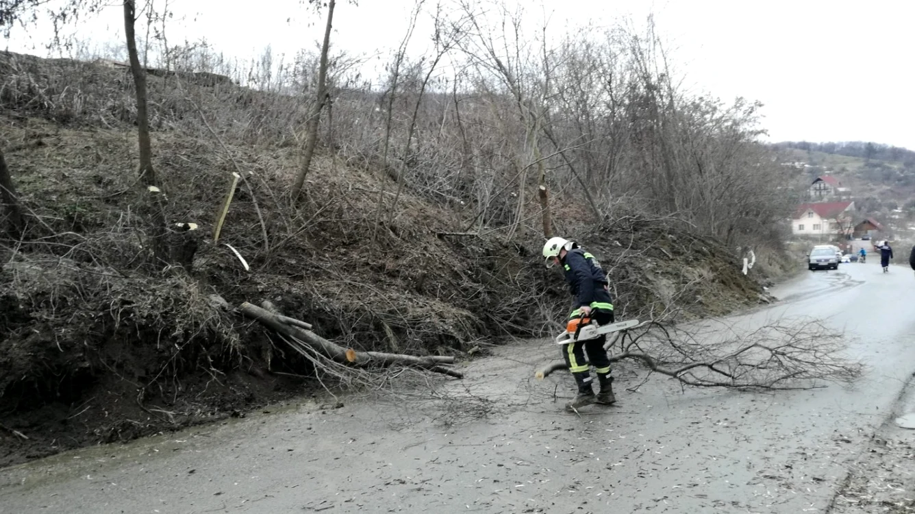 Pompierii voluntari de la SVSU Bistriţa au curăţat terenul care o ia la vale de copaci, pentru a împiedica blocarea totală a drumului FOTO: Bianca Sara