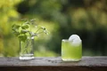 suc coriandru shutterstock1 jpeg