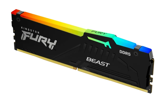 Kingston FURY Beast DDR5 RGB.