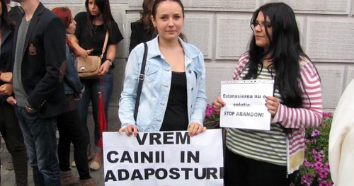 Timişorenii au protestat împotriva Legii eutanasiei Foto