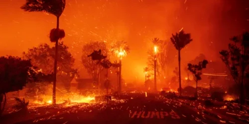 incendiu in California Foto X png