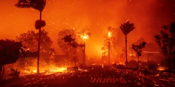incendiu in California Foto X png