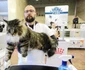 SofistiCAT de mai 