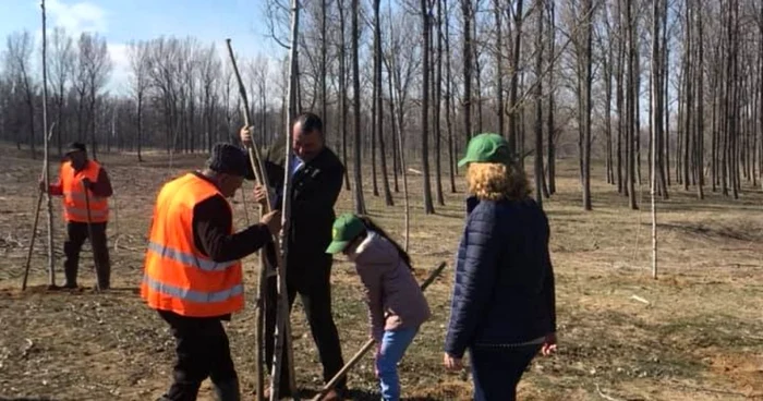 Copiii au plantat sute de pomi în luna martie FOTO Facebook / Neaţu Dumitru