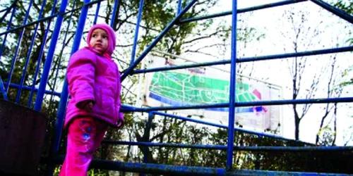 Timisoara: ORAŞUL PE SCURT / Se decide soarta Parcului Copiilor