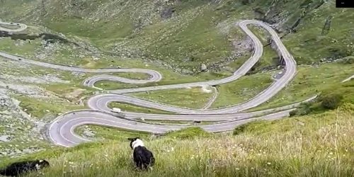 transfagarasan 19 iul