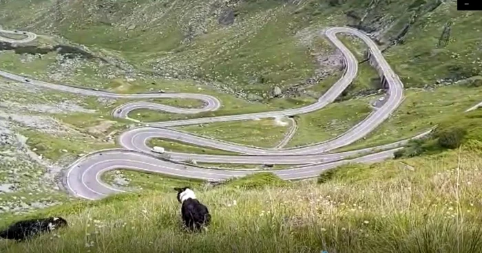 Transfăgărășan, FOTO Ion Sănduloiu