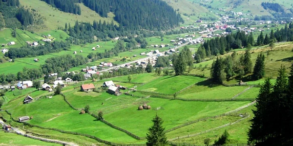 ciocanesti4