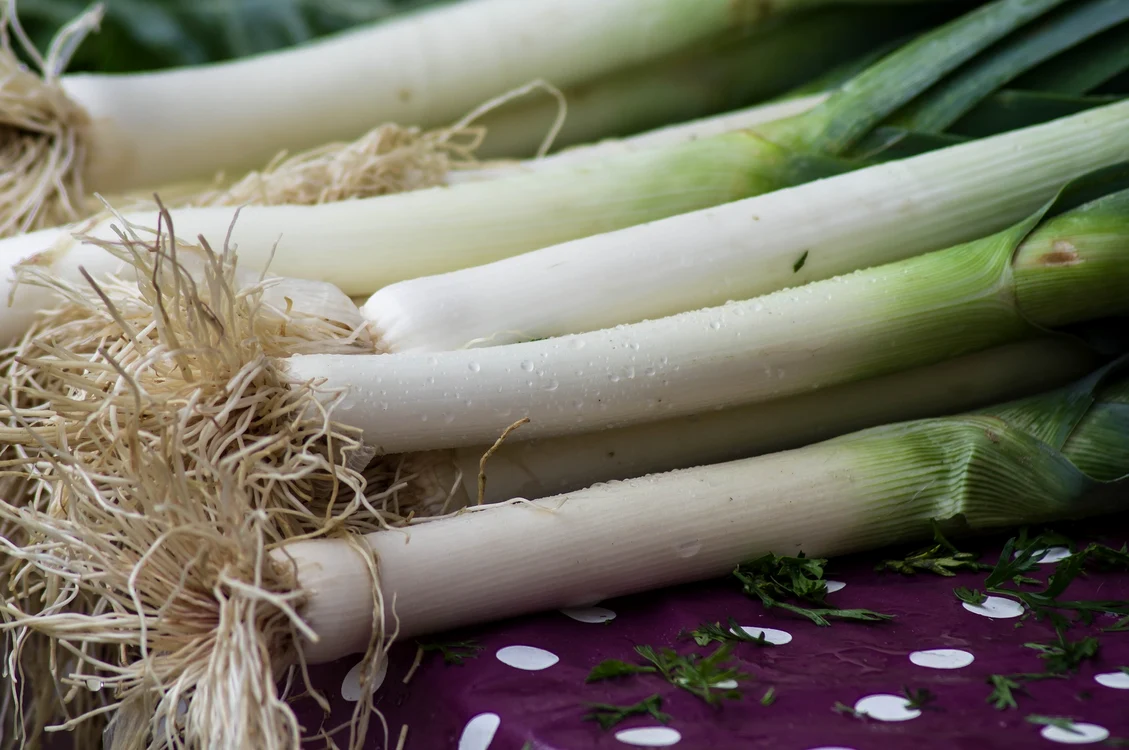 1 leeks 3776668 1920 jpg jpeg