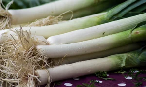 1 leeks 3776668 1920 jpg jpeg