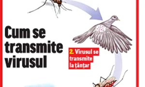 Iuliana Buruiană jpeg