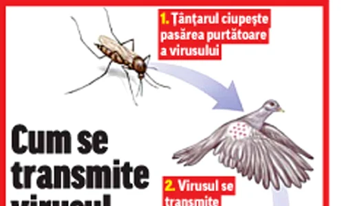 Iuliana Buruiană jpeg