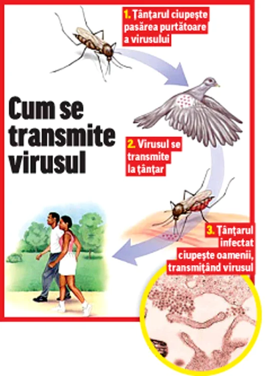 Iuliana Buruiană