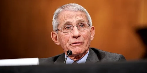 anthony fauci tw jpeg