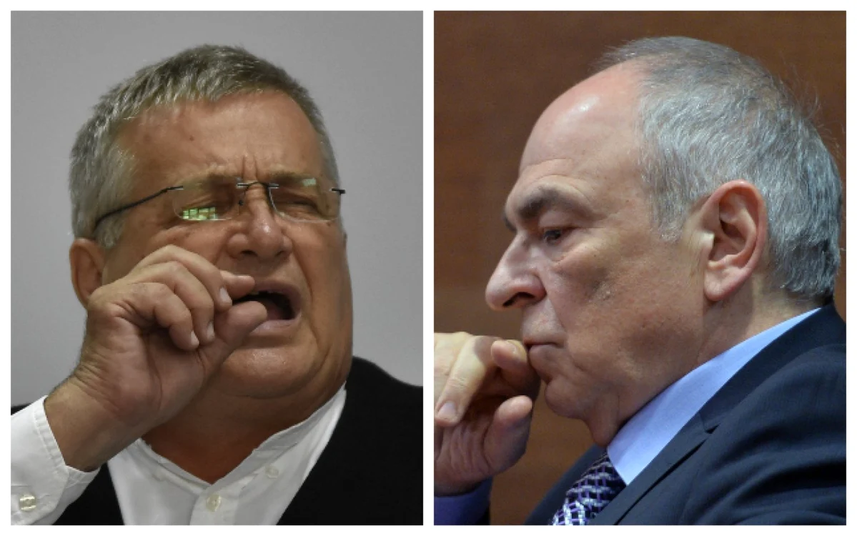 Mircea Dinescu Gabriel Liicenu colaj FOTO Mediafax