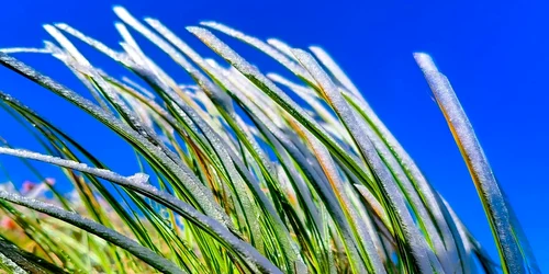 Temperaturi negative la Vârful Omu, în plină zi. FOTO Sergiu Olteanu