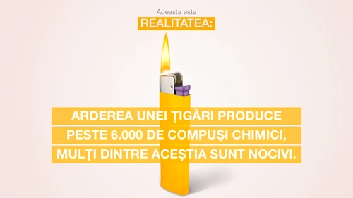 1 vizual heres the fact burning ro landscape jpg jpeg