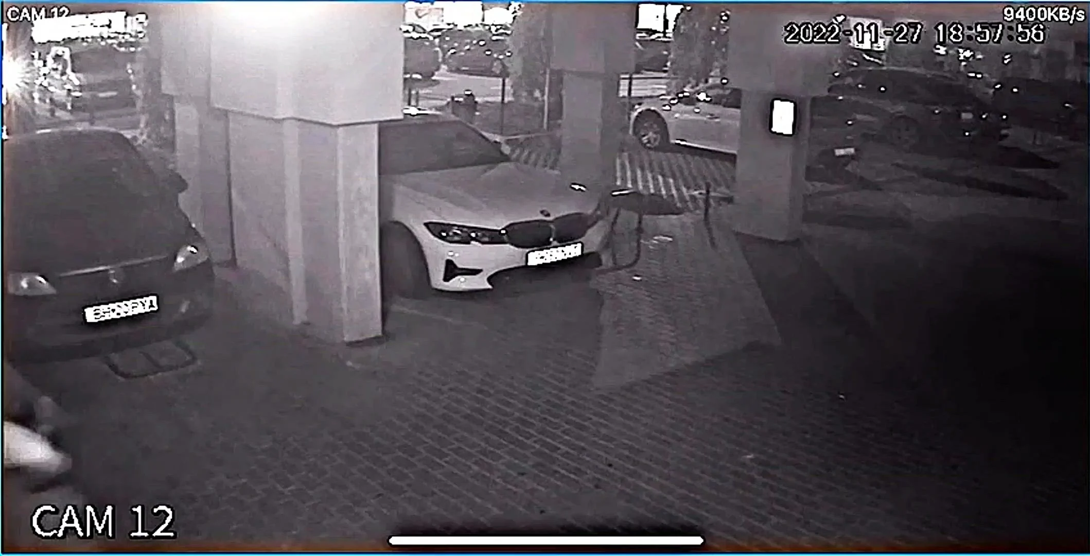 O altercație între doi câini s-a lăsat cu un întreg proces. Despăgubiri de peste 50.000 de lei stabilite de instanță