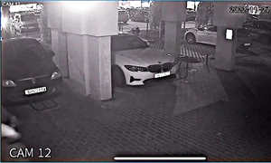 23 04 2026 incaierare caini oradea 2 mp4 thumbnail png