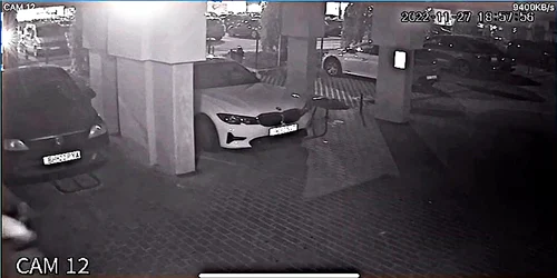 23 04 2026 incaierare caini oradea 2 mp4 thumbnail png