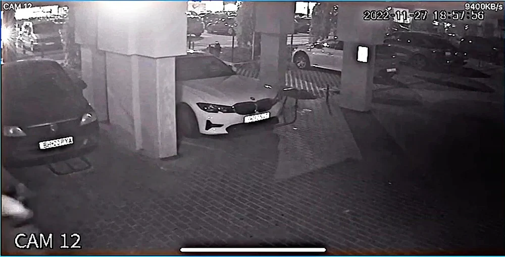 O altercație între doi câini s-a lăsat cu un întreg proces. Despăgubiri de peste 50.000 de lei stabilite de instanță