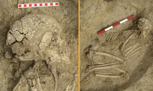 Adolescentul a murit la circa două sau trei luni după atacul leului (© Veselin Danov)