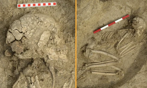 Adolescentul a murit la circa două sau trei luni după atacul leului (© Veselin Danov)