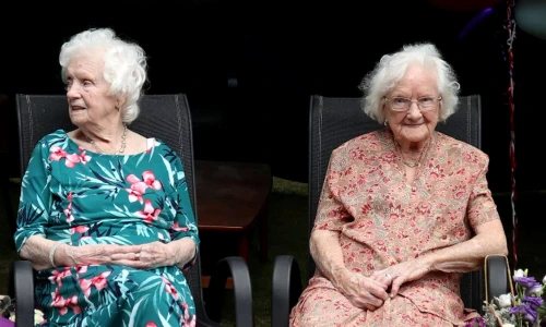 Thelma si Elma gemene jpg