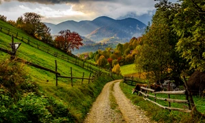 Priveliște satul Măgura FOTO Shutterstock