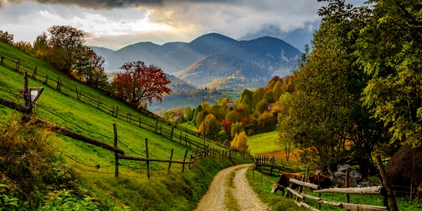 Priveliște satul Măgura FOTO Shutterstock